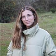 Doy clases particulares de refuerzo para alumnos de Educación Primaria